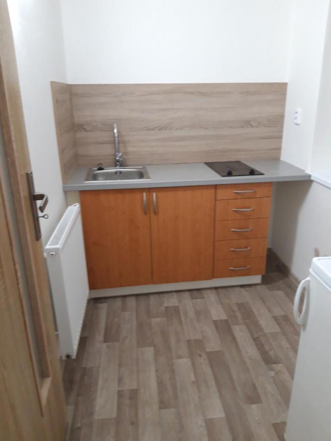 Apartman Plasy Kültér fotó